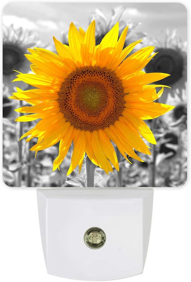 Nightlight Plug in LED Lights for Bedroom, Beautiful Starry Sky Night