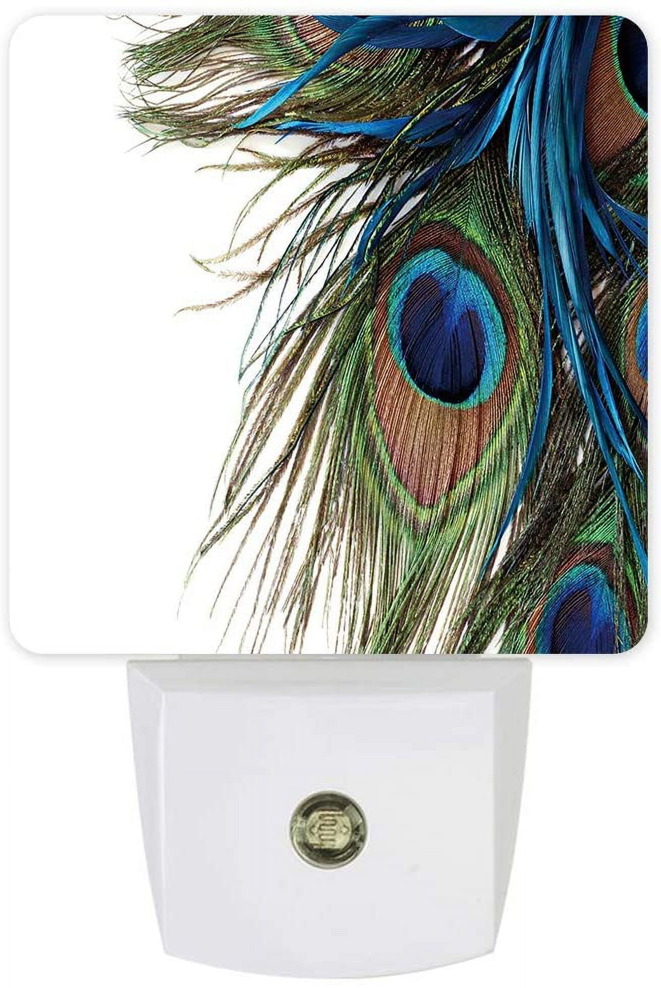 Nightlight Plug in LED Lights for Bedroom, Cute Pet Dog Paw Brown Night Lights Plug into Wall