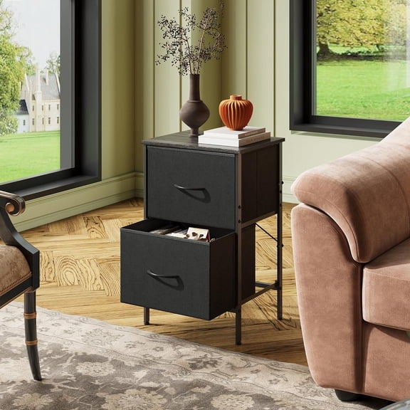 Nightstand Set of 2, 2 Drawer Dresser for Bedroom, Small Dresser with 2 Drawers, Bedside Furniture, Night Stand, End Table with Fabric Bins for Bedroom, Dorm, Charcoal Black, Size L