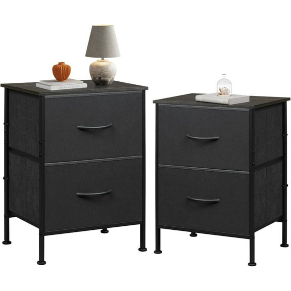 Nightstand Set of 2, 2 Drawer Dresser for Bedroom, Small Dresser with 2 Drawers, Bedside Furniture, Night Stand, End Table with Fabric Bins for Bedroom, Dorm, Charcoal Black, Size L