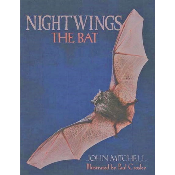 Nightwings The Bat, (Paperback)