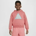thumbnail image 1 of Nike ACG Icon Fleece Big Kids' Pullover Hoodie Color: Adobe/Dusty Cactus Size: L, 1 of 1