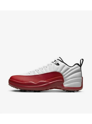 Air Jordan 12