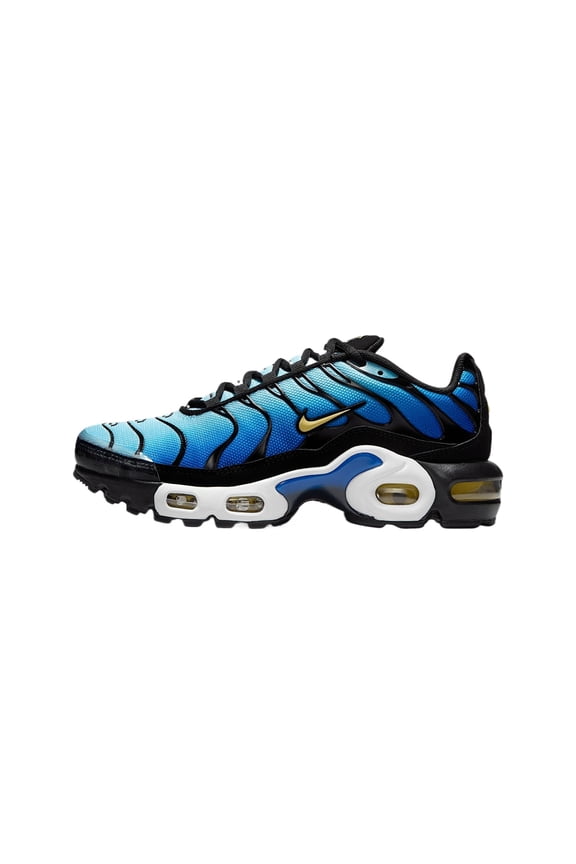 Air Max Plus Big Kids' Shoes (CD0609-032, Black/Sky Blue/Hyper Blue/Chamois) Size 5.5