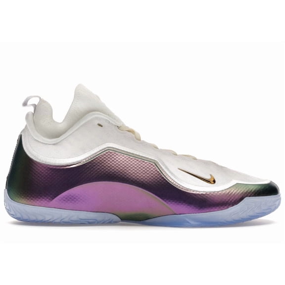 Nike Men's LeBron 23 Elite For The Record Basketball Shoes, from StockX