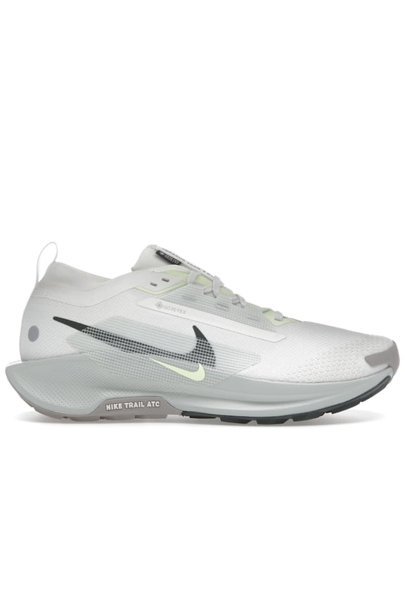 Men's Pegasus Trail 5 Gore-Tex Summit White Light Silver College Grey Sequoia Shoes, from StockX