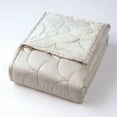 thumbnail image 1 of Nikki Chu  Brushed Velvet Down-Alternative Blanket Silver Cloud King, 1 of 5