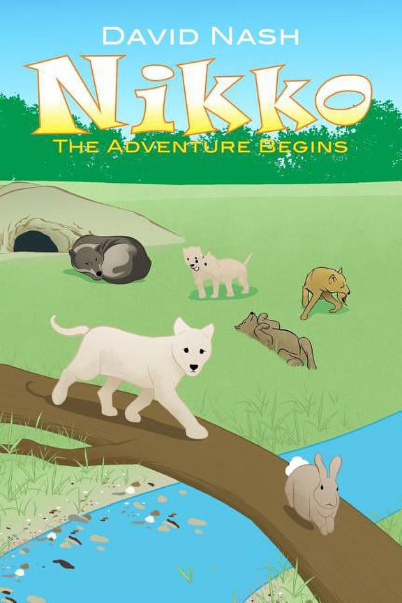 Nikko: The Adventure Begins, (Paperback)