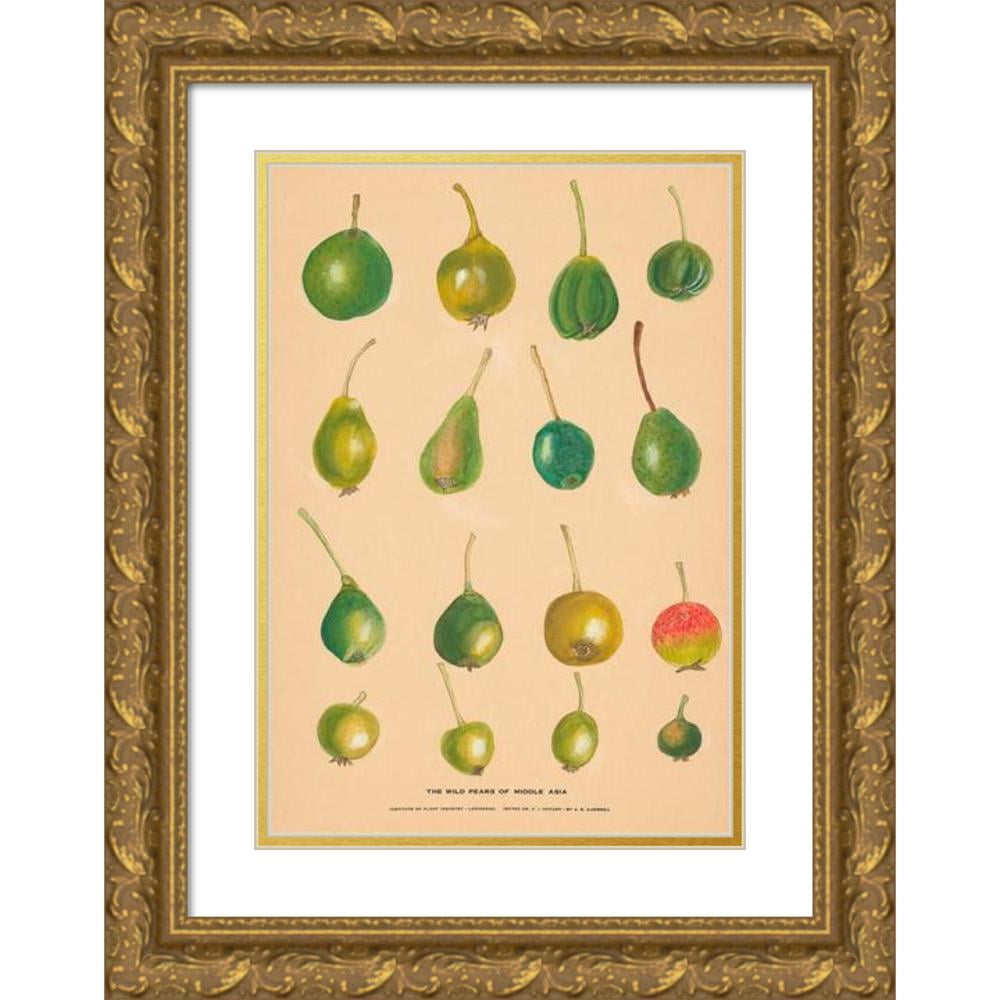nikolai-ivanovich-vavilov-11x14-gold-ornate-wood-frame-and-double