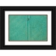 thumbnail image 1 of Nikzad Amoli, Hossein 24x17 Black Ornate Wood Framed with Double Matting Museum Art Print Titled - Swimmer #2, 1 of 4