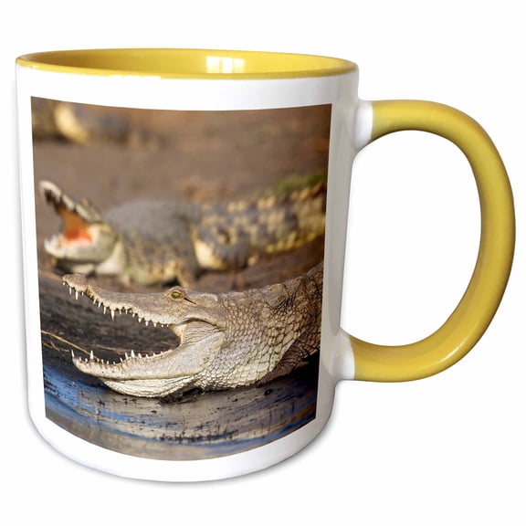 3drose, Nile Crocodile, Market, Lake Chamo, Ethiopia - Af16 Mzw0061 - Martin Zwick, 11oz Two-tone Yellow Mug