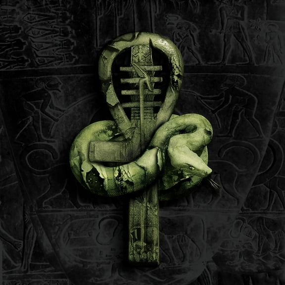 Nile - In Their Darkened Shrines - Music & Performance - Vinyl