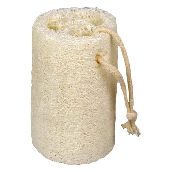 Nilnehc Natural Loofah Dish Scrubber,4 Pcs Plant-Based Kitchen Sponge for Pots and Pans,Non-Scratch Biodegradable Scouring Pad with Hanging Loop,4x3x3in