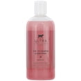 thumbnail image 1 of Nilodor Ultra Collection 4 in 1 Dog Shampoo and Conditioner Coconut Cove Scent [Dog, Shampoos Regular] 16 oz, 1 of 1