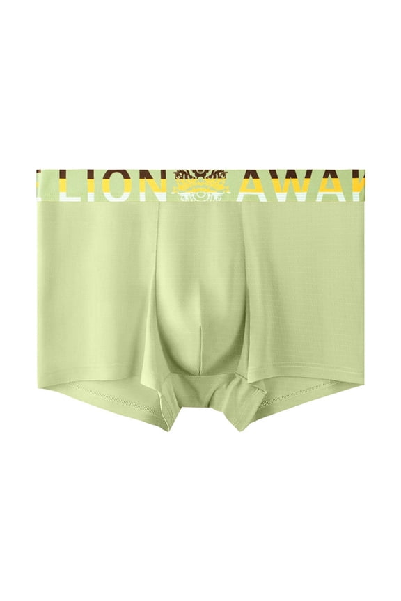 Mens G String, Mens Underwear, Crossdresser Cosplay Hidden Tucking G String for Transgender Shaping Green L