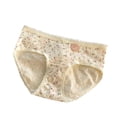 thumbnail image 1 of Nilvkv Womens Panties, Womens Cotton Underwear, Regular Mid Rise Solid Bow Decor Cotton Comfort Single Daily Brief Pink XL, 1 of 2