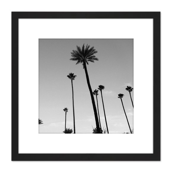 Nimmee Palm Trees Seville Spain Silhouette Photo 8X8 Inch Square Wooden Framed Wall Art Print Picture with Mount