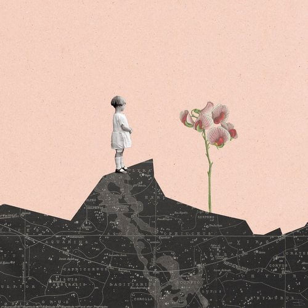 "Nina Mira Flor Rosa" Painting Print on Wrapped Canvas