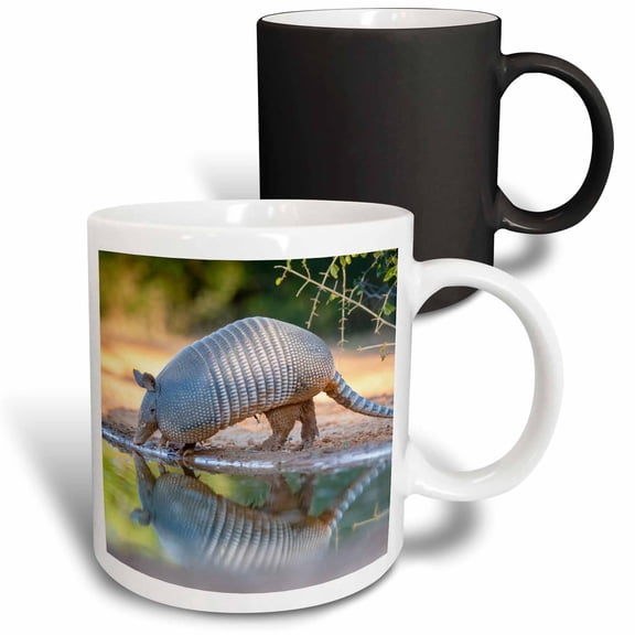 3drose, Nine-banded Armadillo, Dasypus Novemcinctus, Drinking, 11oz Magic Transforming Mug