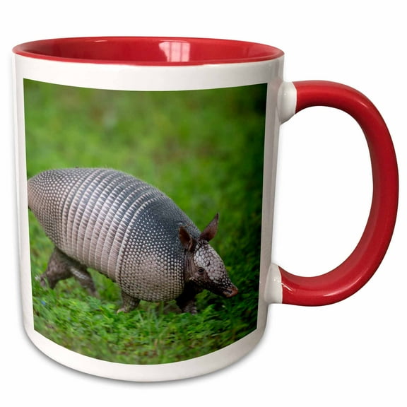 3drose, Nine-banded Armadillo, or Long Nose on the Run, Florida, 11oz Two-tone Red Mug