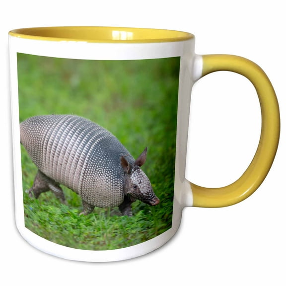 3drose, Nine-banded Armadillo, or Long Nose on the Run, Florida, 11oz Two-tone Yellow Mug