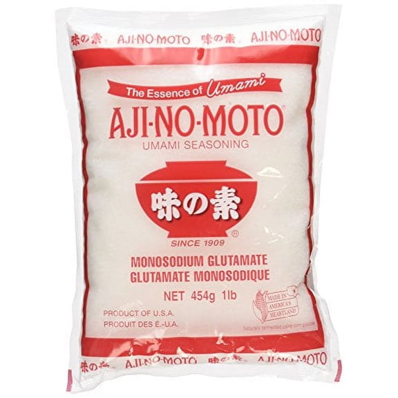 NineChef Bundle - Ajinomoto MSG in Plastic Bag 16 Ounce + 1 NineChef Brand Long Handle Spoon
