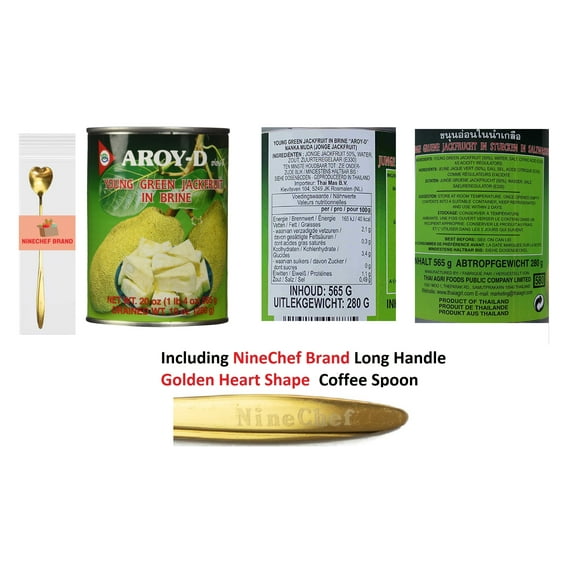 NineChef Bundle - Aroy-D Aroyd Young Green Jackfruit in Brine 20 Ounce (18 Pack) + 1 NineChef Brand Spoon