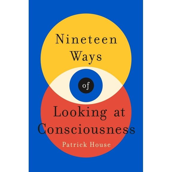Nineteen Ways of Looking at Consciousness (Hardcover)