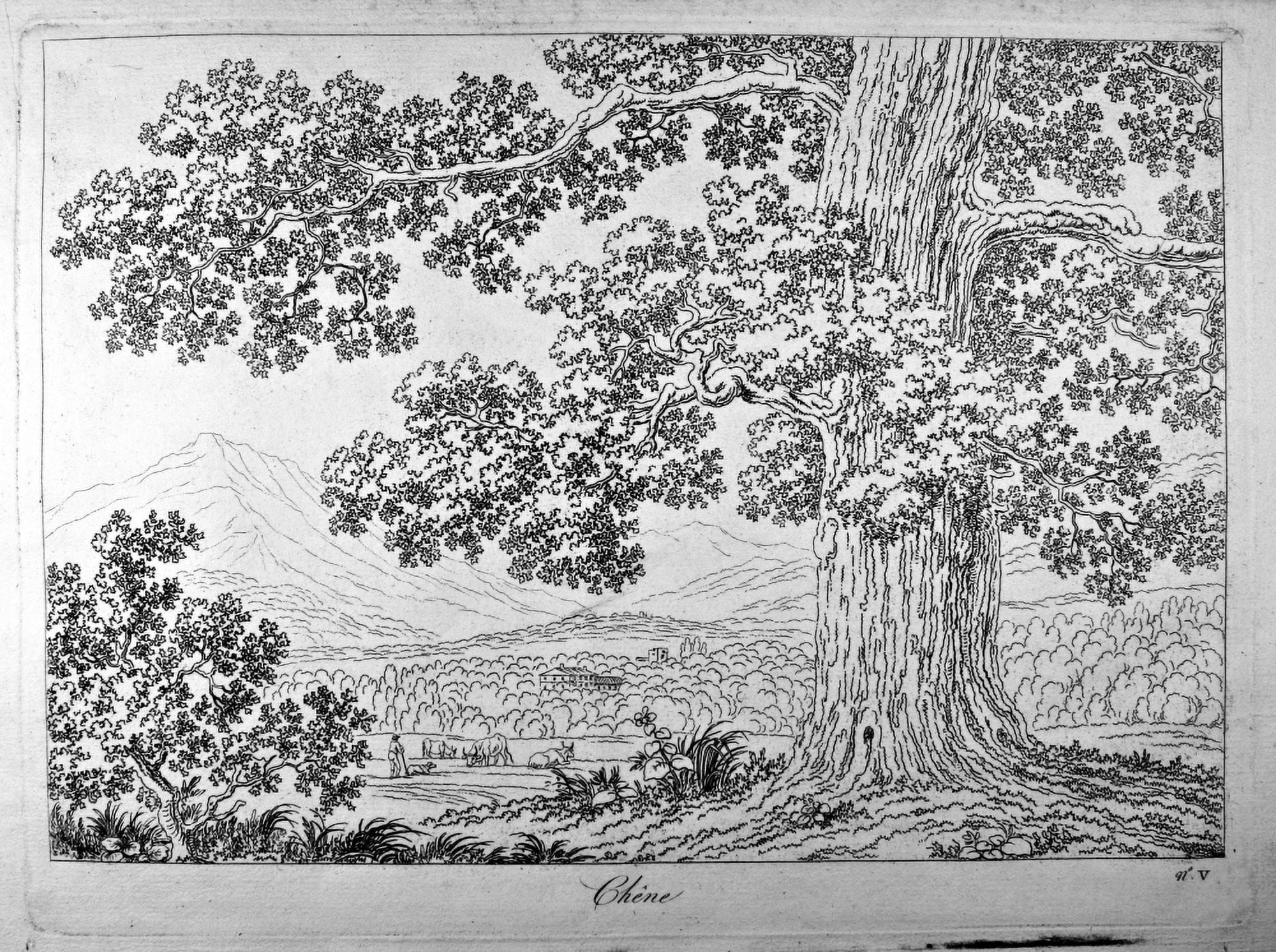 Ning How To Draw The Natural Landscape (Principes Pour Apprendre ???? Dessiner Le Paysage Apr???Çs Nature) Canvas Art - (24 x 18)