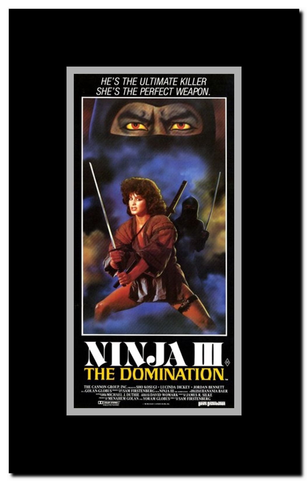 Ninja 3: the Domination Framed Movie Poster