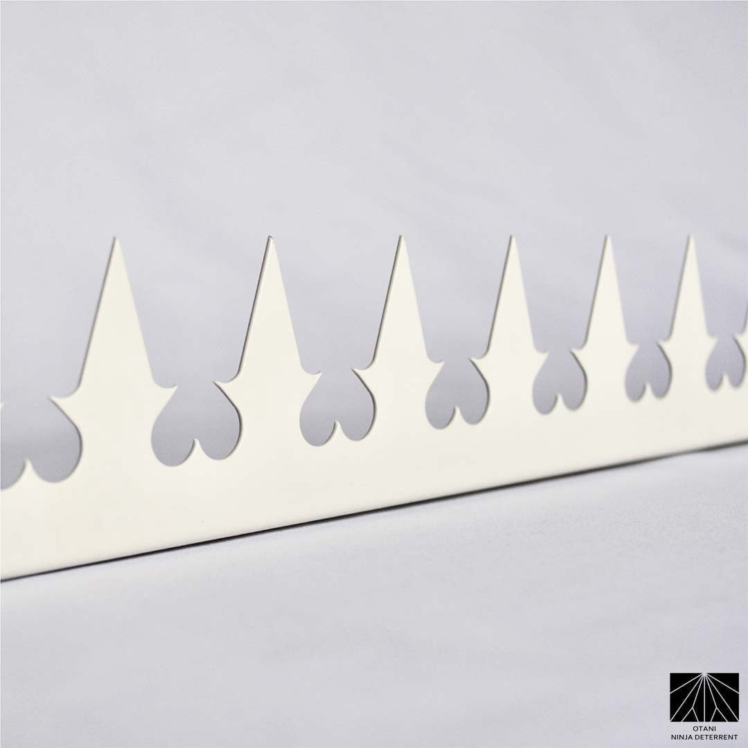 Ninja Deterrent™ | Fence Spikes Wall Spikes Anti Climb Home Security Guard| GizaGiza Heart Single Bladed 1m White | Bird Spikes
