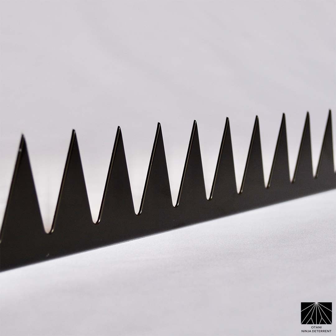Ninja Deterrent™ | Fence Spikes Wall Spikes Anti Climb Home Security Guard | GizaGiza Single Bladed 1.0m Black | Bird Spikes