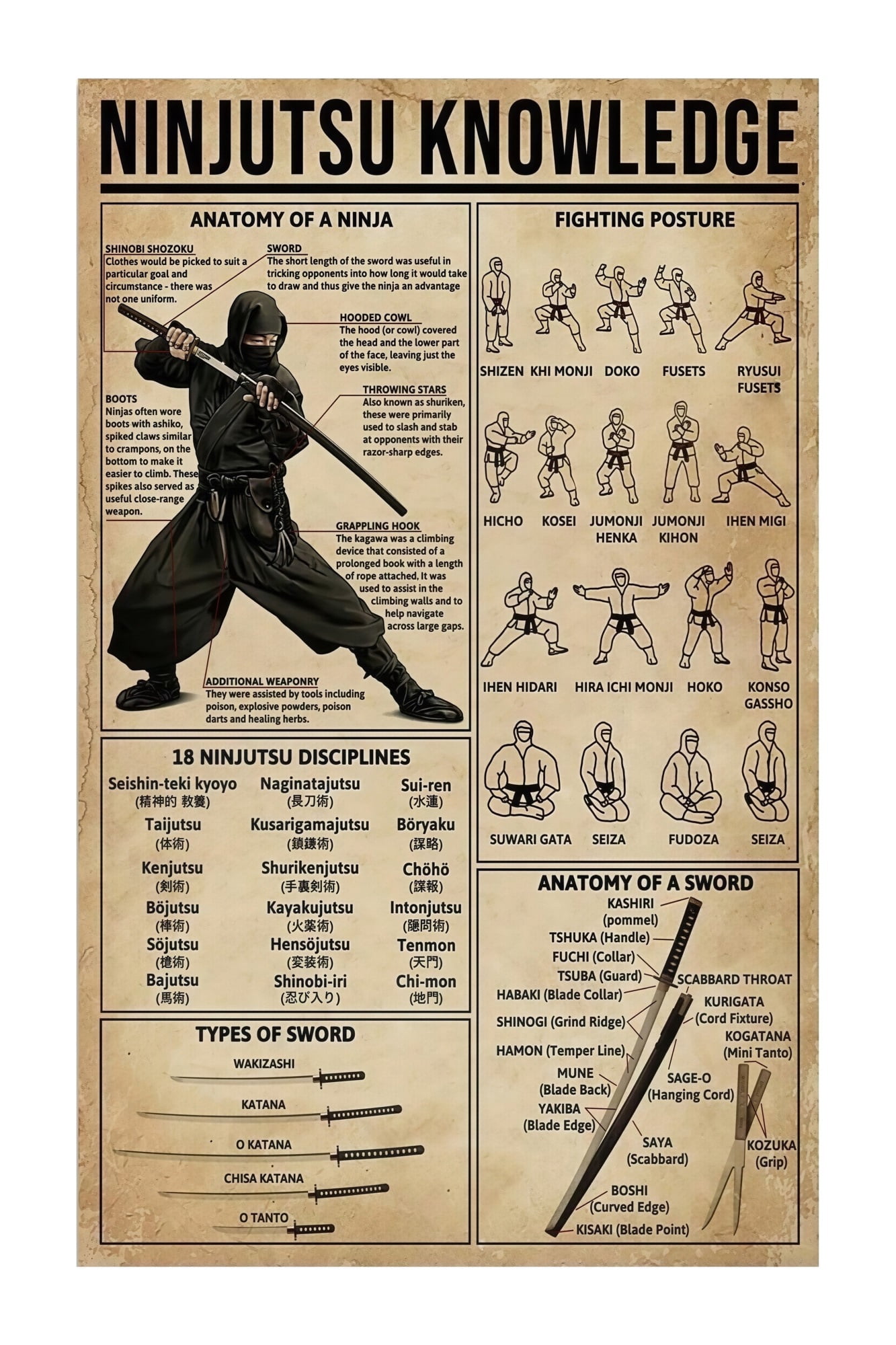 Ninja Knowledge Anatomy Poster Martial Arts Gym Wall Decor with Basic ...
