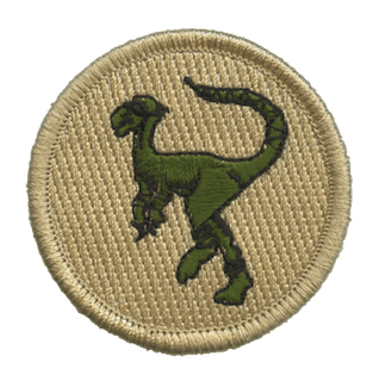 Ninja Raptor Scout Patrol Patch (Sew-on) - ClassB - Walmart.com