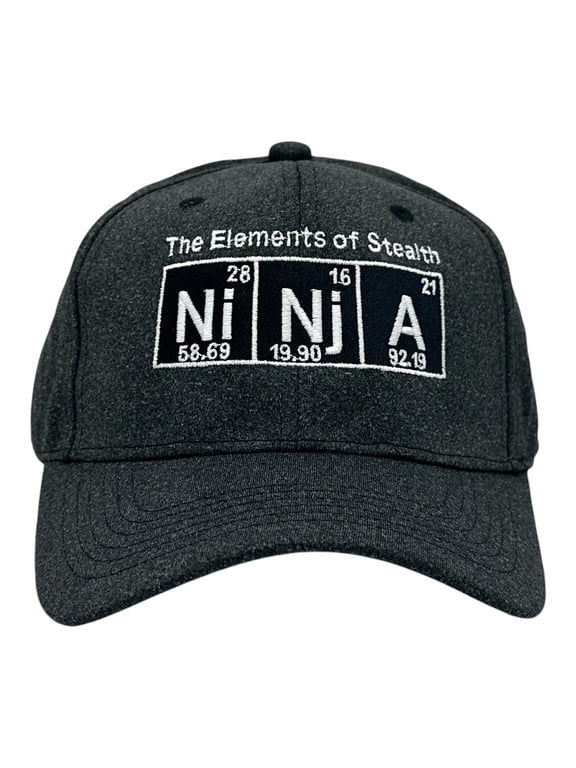 Ninja The Elements of Stealth Hat Funny Sarcastic Graphic Novelty Cap