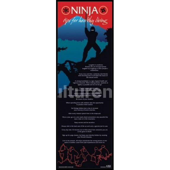 Ninja Tips For Healthy Living Laminated & Framed Poster (36 X 12)