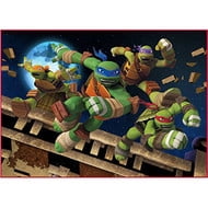 Ninja Turtles "We are Ninjas" 40" x 56" Accent Rug