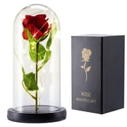 Ninonly Red Rose Light Gifts for Mom Wife, Preserved Forever Rose Flower with LED Lights, Red Rose Flower Gifts for Mother's Day Wedding Anniversary Birthday Valentines Christmas Day