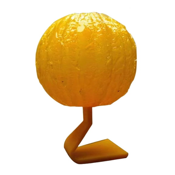 Niovtt 2pcs Effective Fly Catcher Killer Non-Toxic Flying Insects Traps Ball for Plants