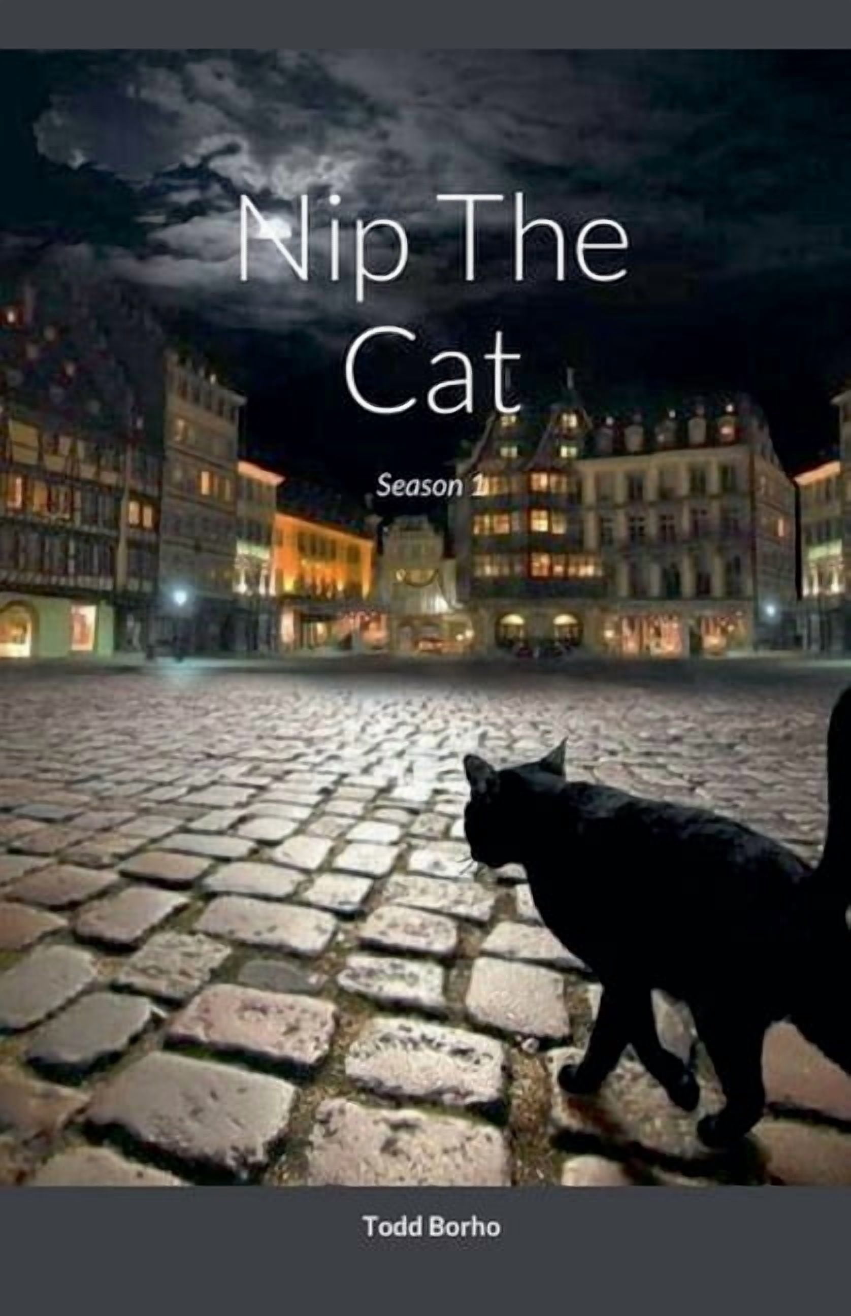 Nip the Cat Nip The Cat - Season 1, Book 1, (Paperback)
