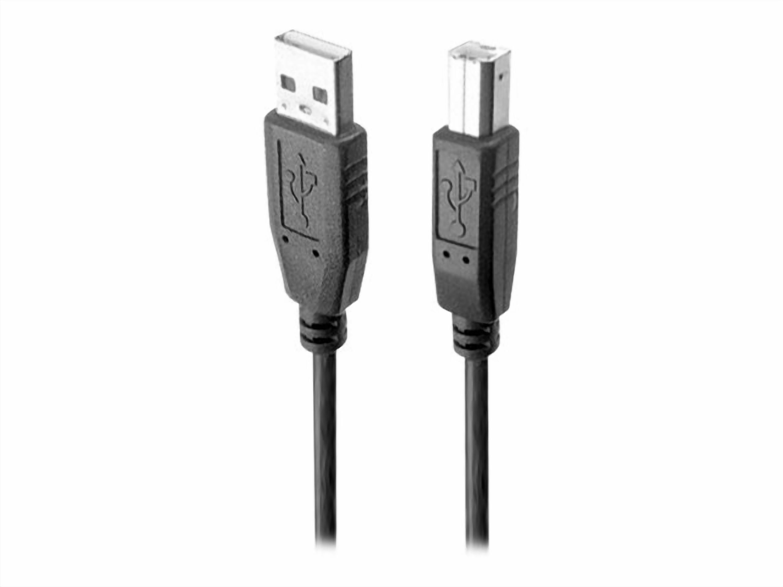 Nippon Labs Beige 3 ft. USB cable A/male to B/male 3ft Model USB-3-AB 3 ...