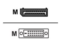 Nippon Labs DP-DVI-15 15 ft. DisplayPort Male to DVI-D Male Converter Cable, Black - DP to DVI Adapter - 1920 x 1200