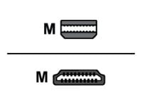 Nippon Labs Model MINIDP-HDMI-10 10 ft. Mini DisplayPort to HDMI® 10ft  32 AWG Cable M-M 10 feet- OEM