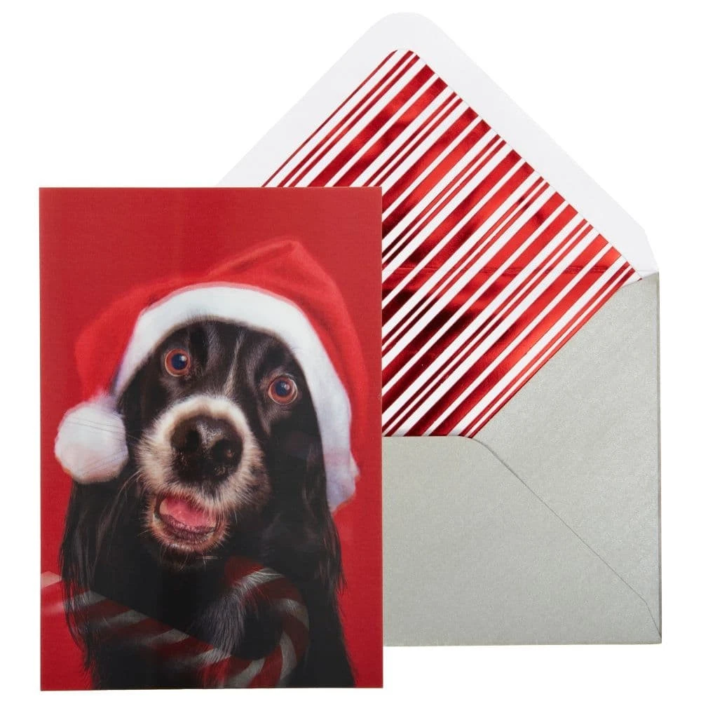 Niquea.D, Dog And Candy Cane Christmas Card
