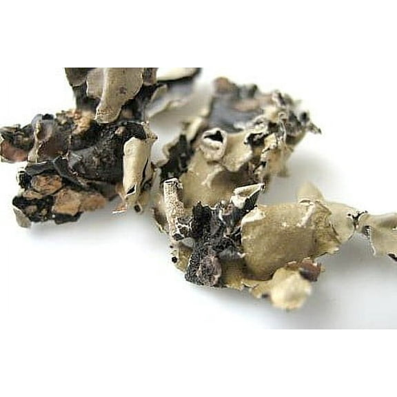 Nirav Pathar Phool / Dagad Phool / Stone Flower