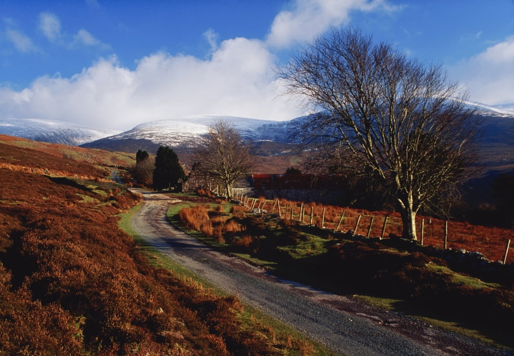 Nire Valley Drive County Waterford Ireland Country Road Canvas Art - Richard Cummins Design Pics (36 x 24)