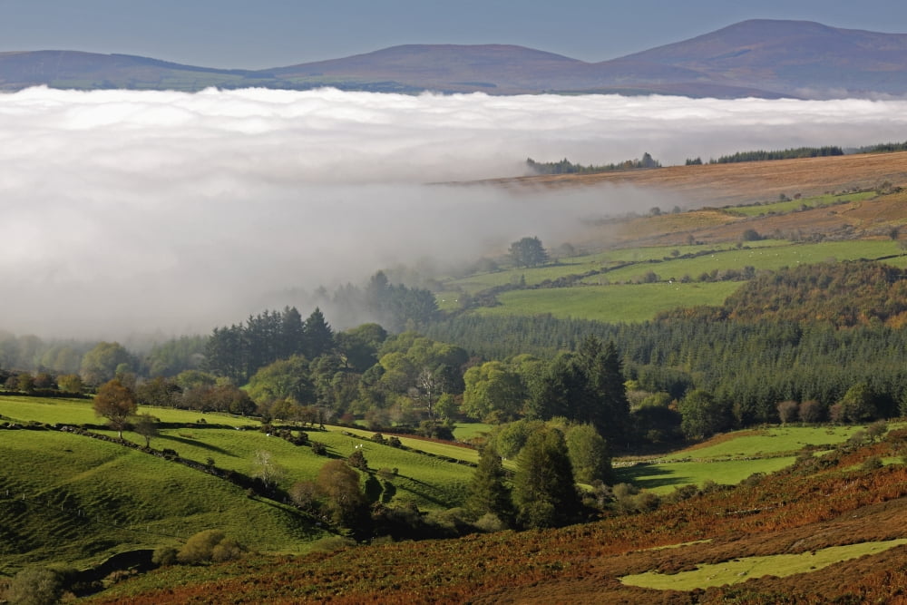 Nire Valley Landscape Clonmel County Tipperary Ireland Canvas Art - Trish Punch Design Pics (38 x 24)