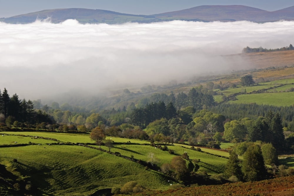 Nire Valley Landscape Clonmel County Tipperary Ireland Canvas Art - Trish Punch Design Pics (38 x 24)