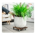 thumbnail image 1 of Niriyo Rolling Plant Stand Caddy - Heavy Duty Pot Mover with Lockable Wheels, 1 of 5