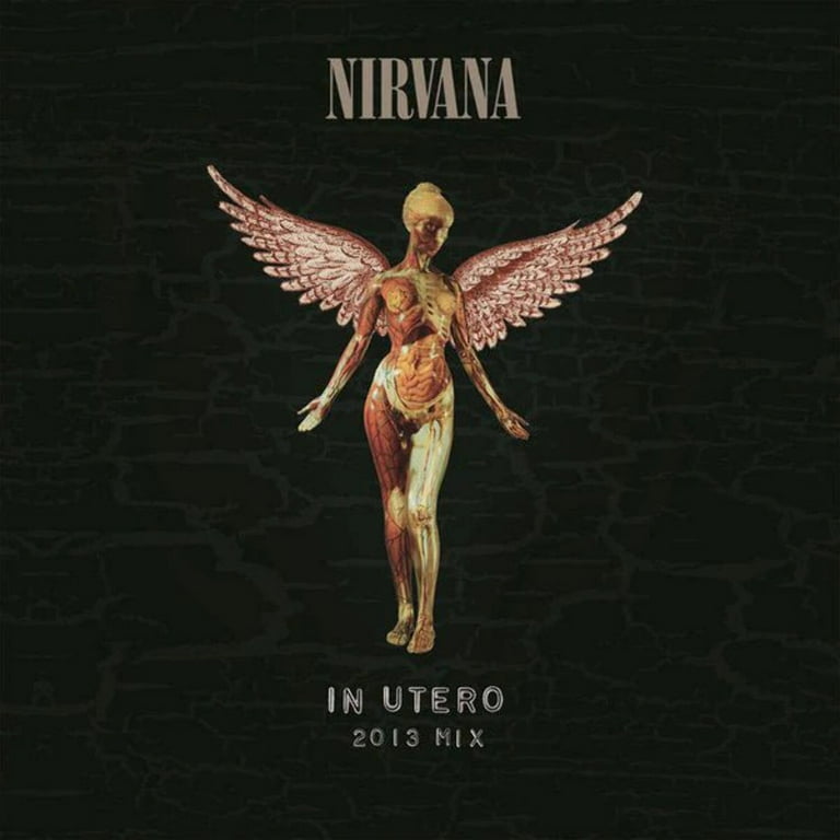 ミュージシャン NIRVANA IN UTERO ANVIL MEDIUM Nirvana - In